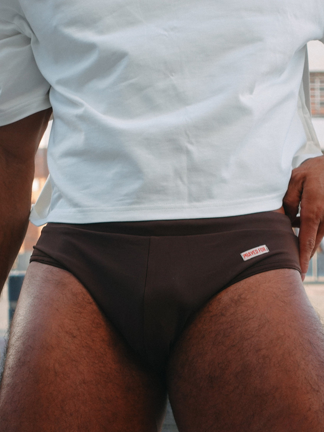 SWIM BRIEFS BROWN